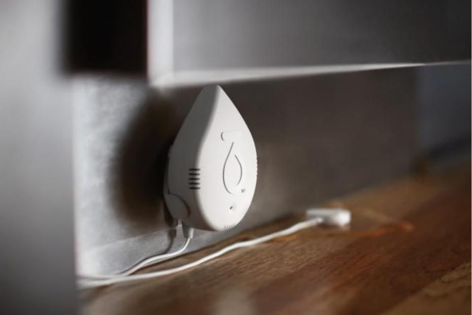 What is a Smart Water Alarm and Do You Need One?